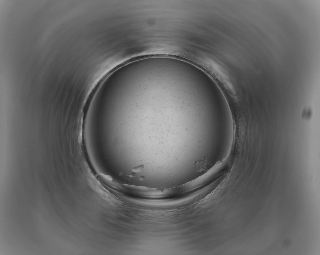 X0000090891276200707271325