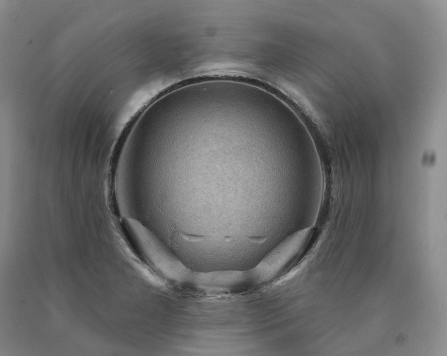 X0000090891277200707271325