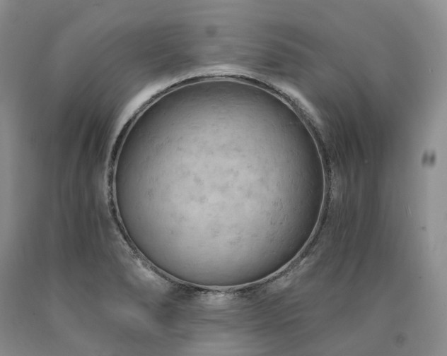 X0000090891278200707271325