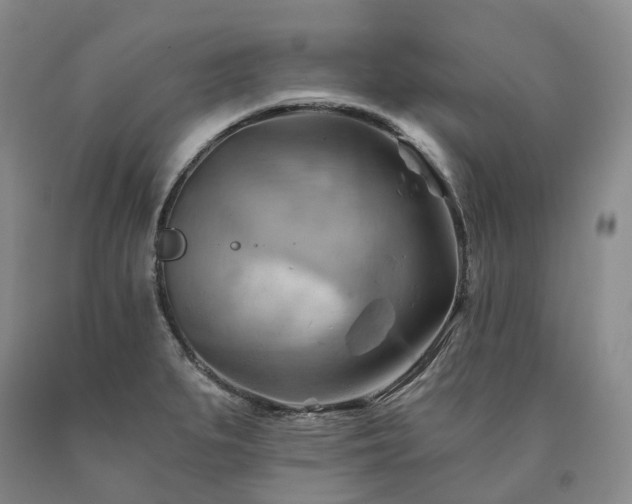 X0000090891279200707271325