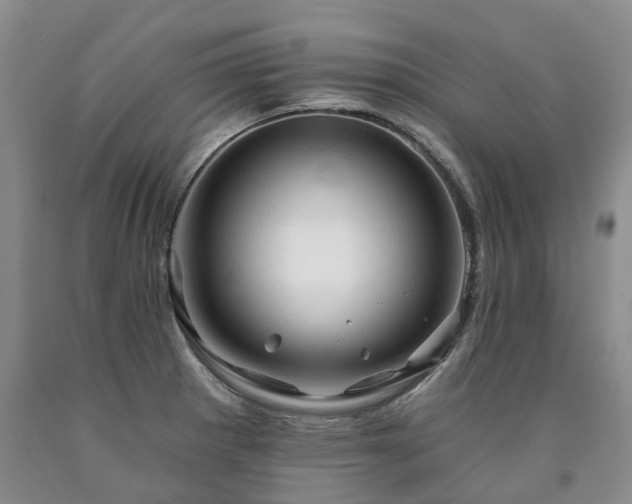 X0000090891281200707271325