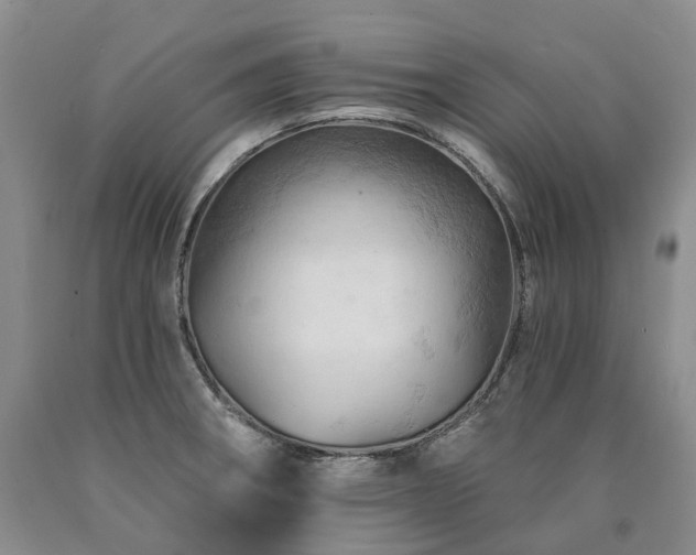 X0000090891282200707271325