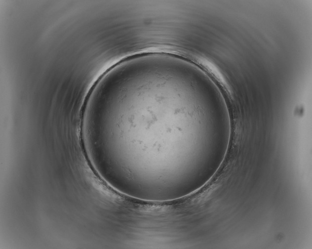 X0000090891284200707271325