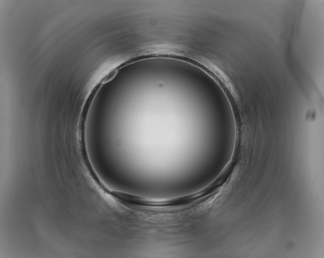 X0000090891285200707271325