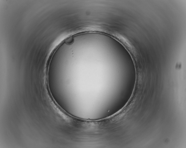 X0000090891286200707271324