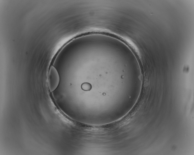 X0000090891287200707271324