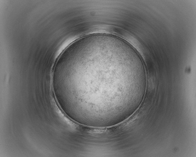 X0000090891290200707271324