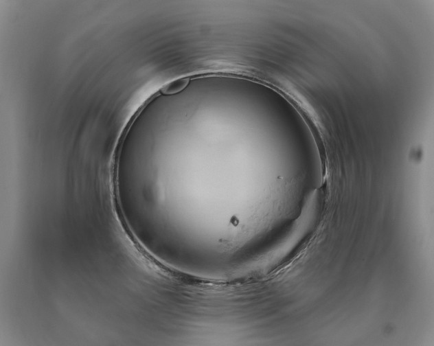 X0000090891291200707271324