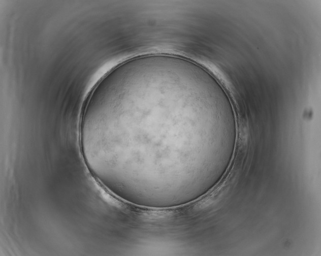 X0000090891294200707271324