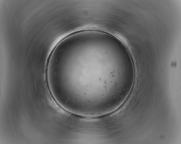 X0000090891296200707271324