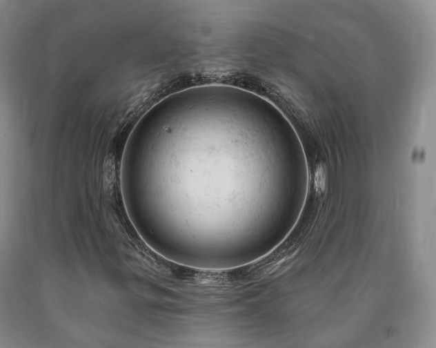 X0000090891299200707271323