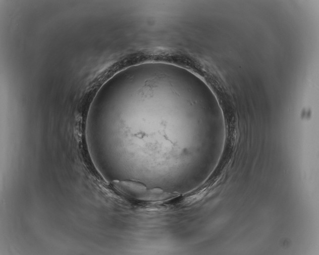 X0000090891301200707271323