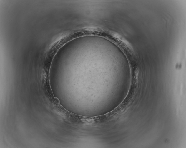 X0000090891302200707271324