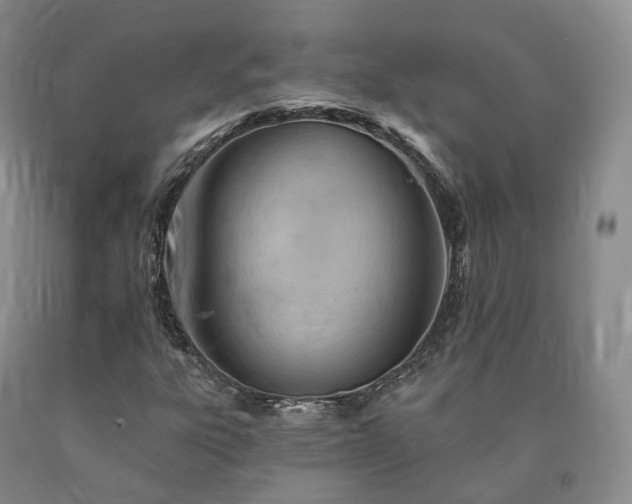 X0000090891303200707271324