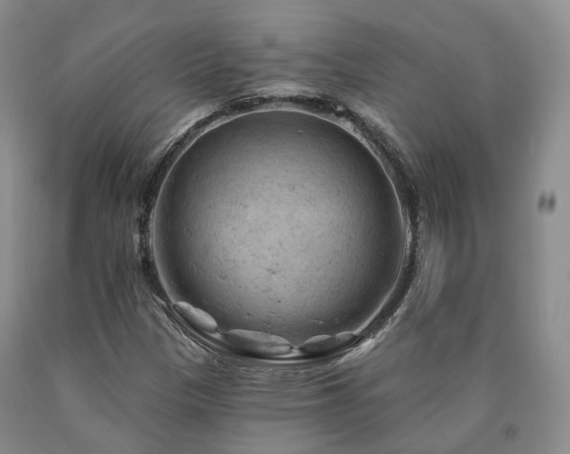 X0000090891305200707271324