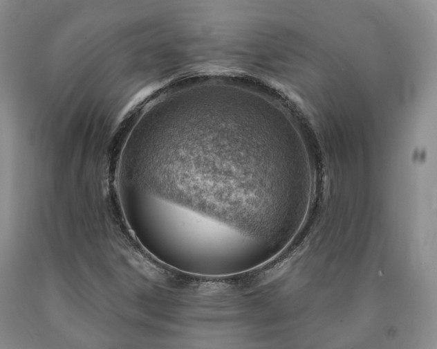 X0000090891306200707271324