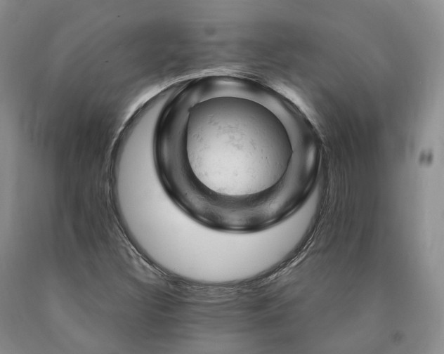 X0000090891308200707271324