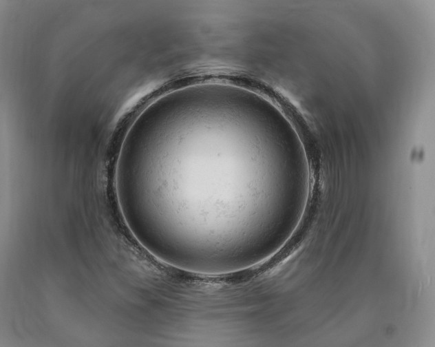 X0000090891309200707271324