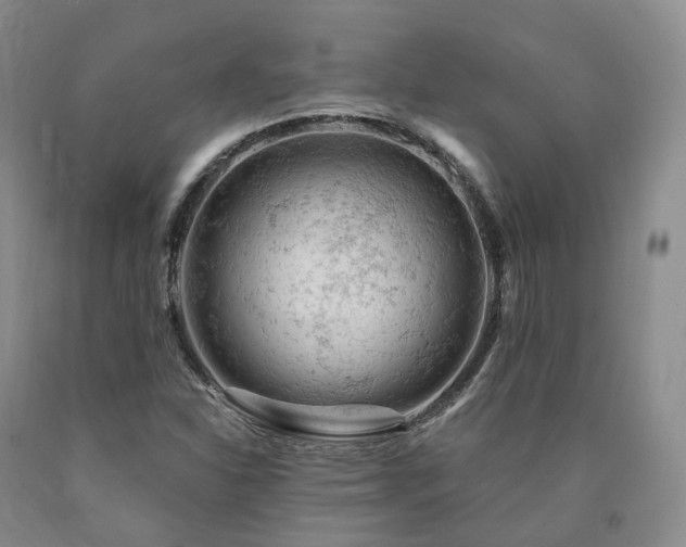 X0000090891310200707271324