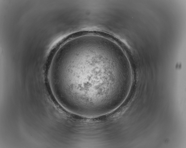 X0000090891311200707271324