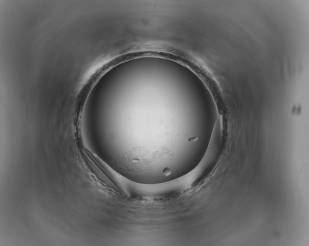 X0000090891312200707271324