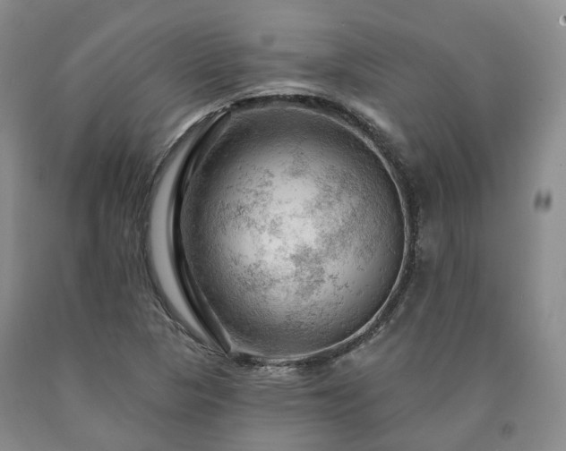 X0000090891313200707271324