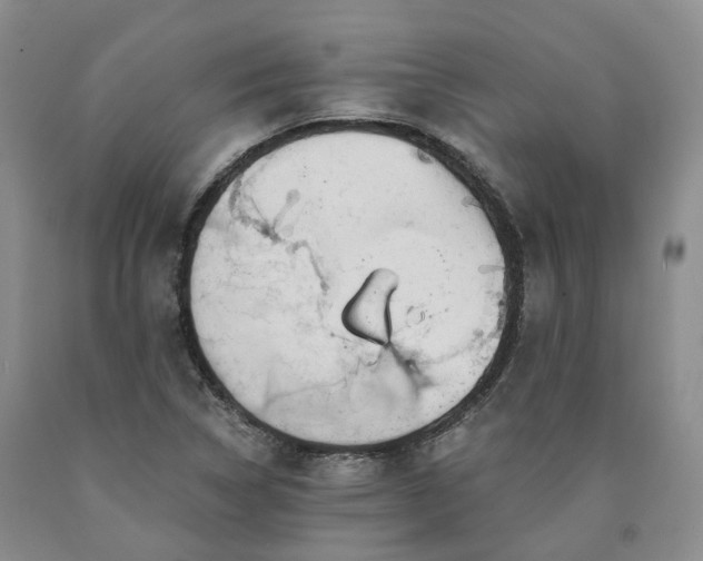 X0000090891314200707271324