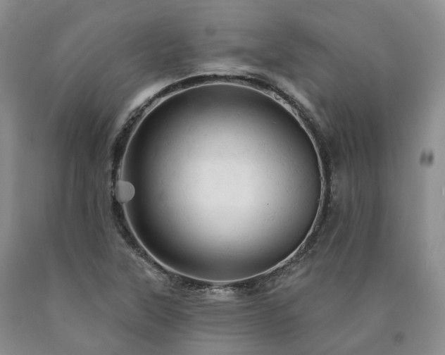 X0000090891315200707271324