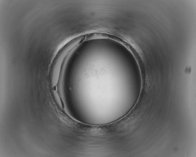 X0000090891316200707271324