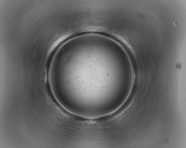 X0000090891317200707271324