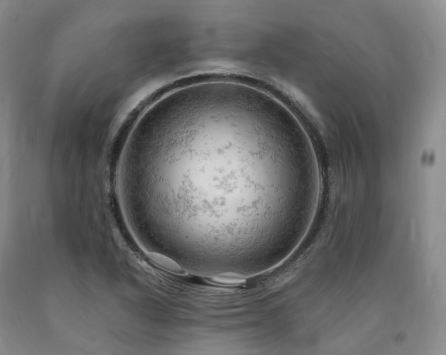 X0000090891318200707271324