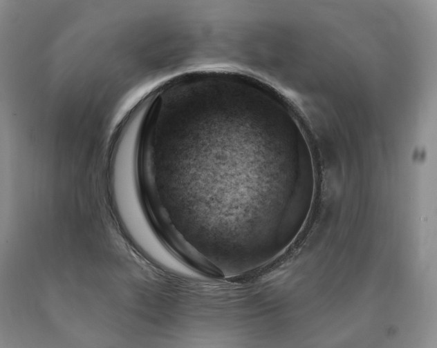 X0000090891319200707271324