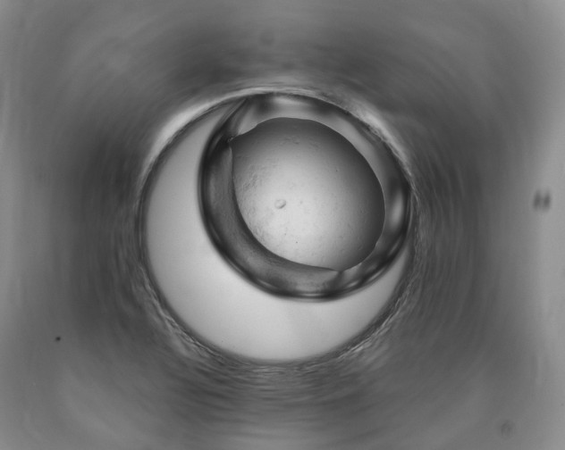 X0000090891320200707271324