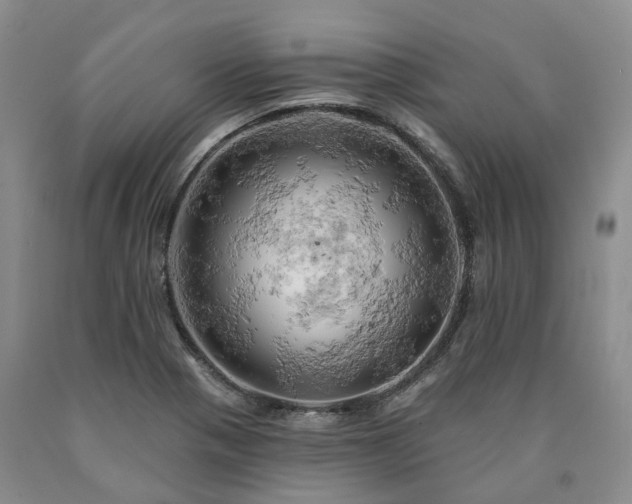 X0000090891321200707271324