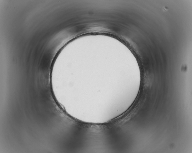 X0000090891322200707271324