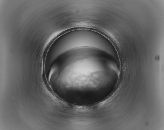 X0000090891323200707271324