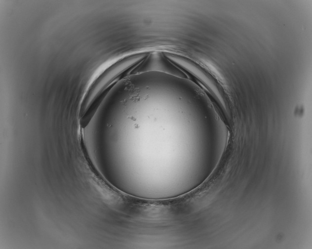 X0000090891324200707271324