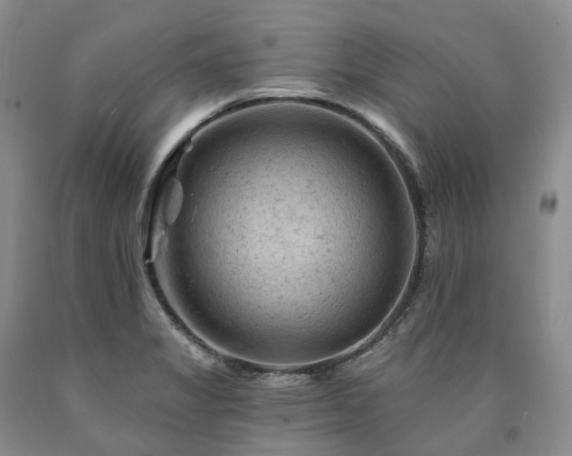 X0000090891325200707271324