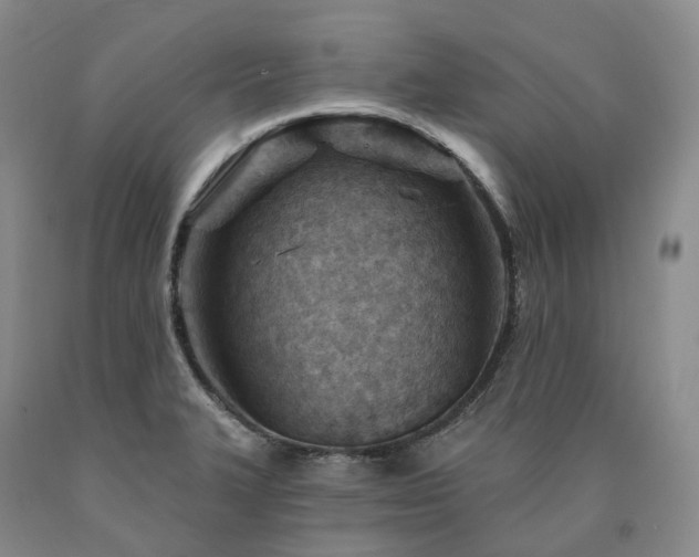 X0000090891327200707271324