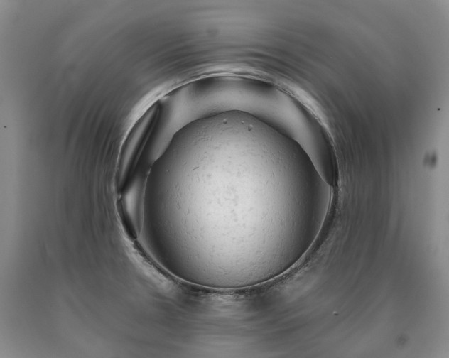 X0000090891330200707271324