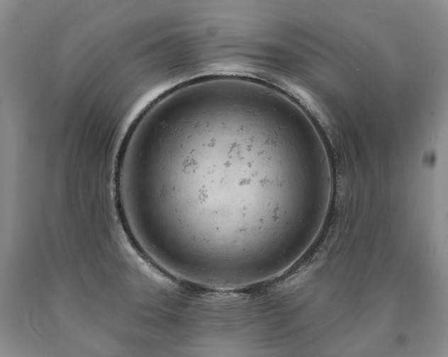 X0000090891331200707271324