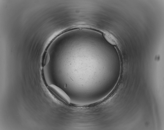 X0000090891333200707271324