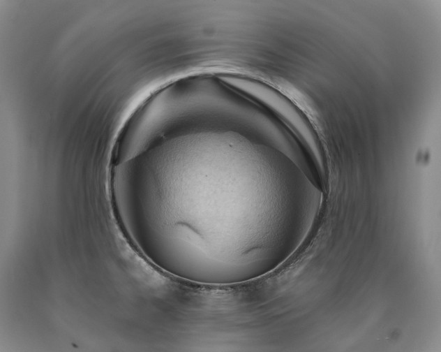 X0000090891334200707271324