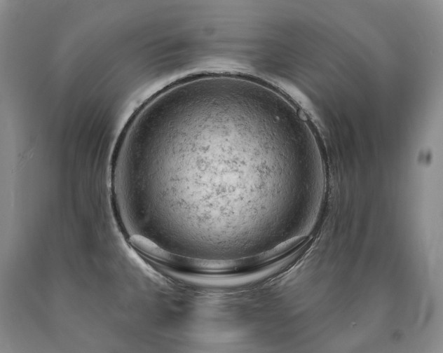 X0000090891335200707271324