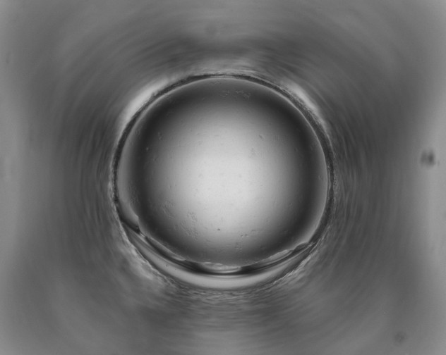 X0000090891336200707271324