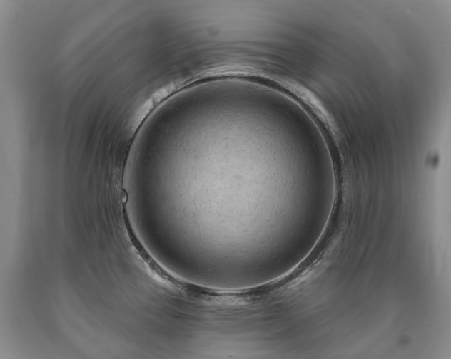 X0000090891337200707271324