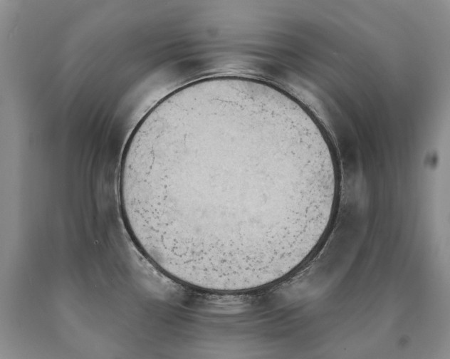 X0000090891338200707271324