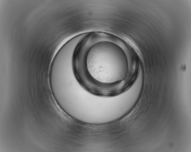 X0000090891340200707271324