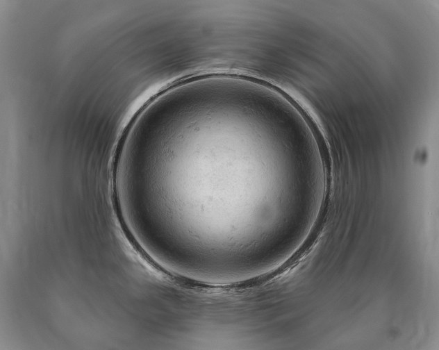 X0000090891341200707271324