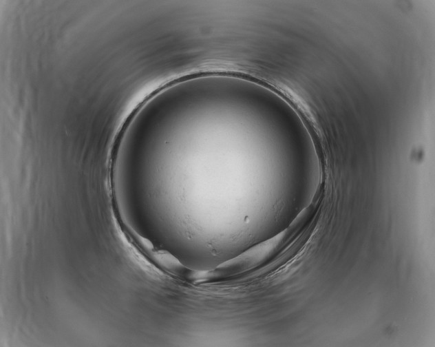 X0000090891342200707271324